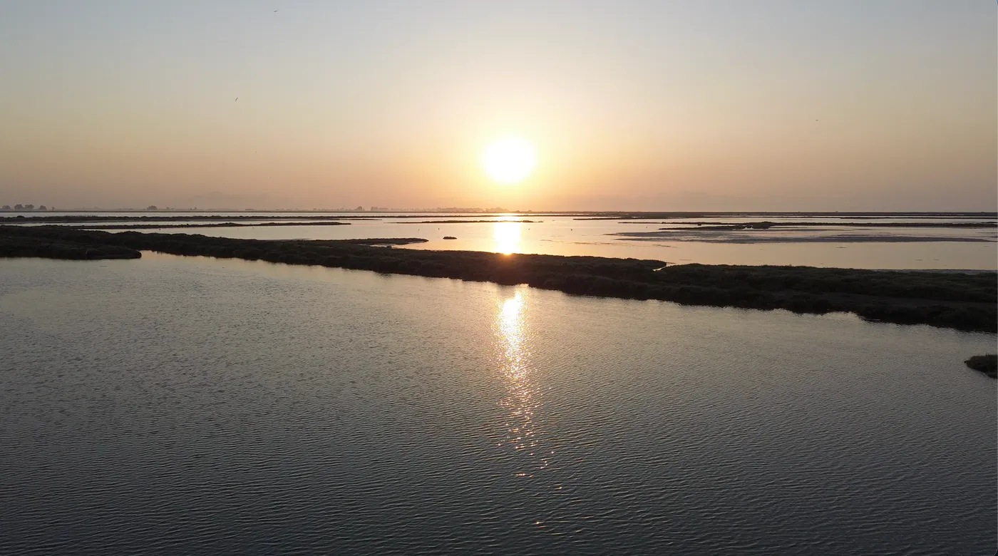 Foto 4 del Delta de l'Ebre
