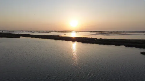 Foto 4 del Delta de l'Ebre