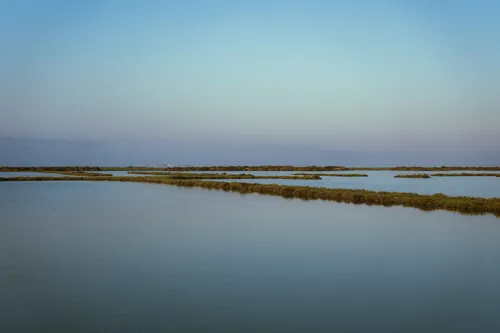 Foto 6 del Delta de l'Ebre